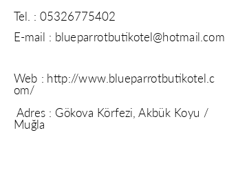 Blue Parrot Butik Otel iletiim bilgileri